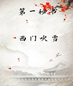 第一秘书