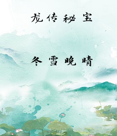 龙传秘宝