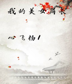 我的美女局长