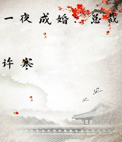 一夜成婚：总裁太缠人