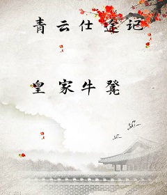 青云仕途记