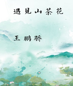 遇见山茶花