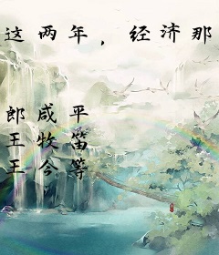 这两年，经济那点事（财经郎眼08）