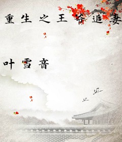 重生之王爷追妻忙