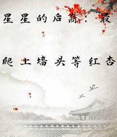 星星的后裔：最佳军婚