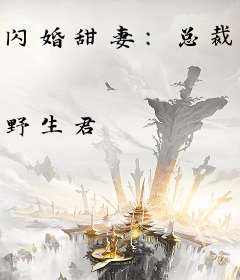 闪婚甜妻：总裁无限宠