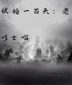试婚一百天：老公送上门