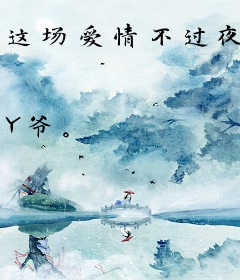 这场爱情不过夜