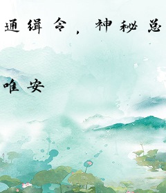 通缉令，神秘总裁的新宠