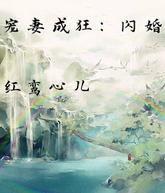 宠妻成狂：闪婚总裁太霸道