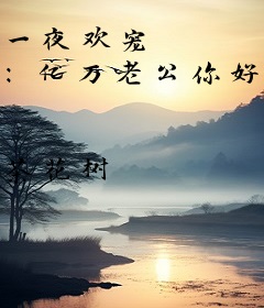 一夜欢宠 ：亿万老公你好坏