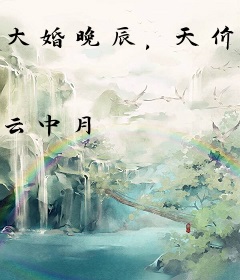 大婚晚辰，天价小妻子
