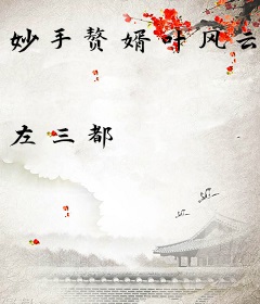 妙手赘婿叶风云