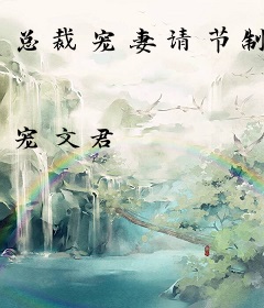 总裁宠妻请节制