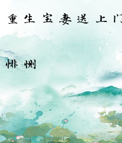 重生宝妻送上门