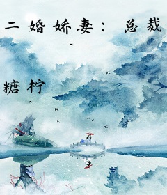 二婚娇妻：总裁夜夜忙