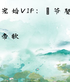 宠婚VIP：玦爷娶一送三