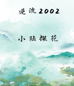 逆流2002