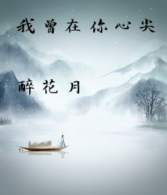 我曾在你心尖
