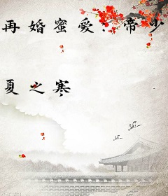 再婚蜜爱：帝少请克制
