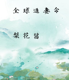 全球追妻令