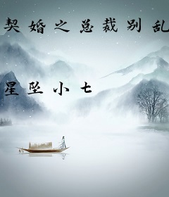 契婚之总裁别乱来