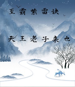 至霸紫雷诀