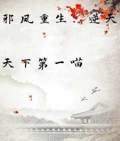 邪凤重生：逆天二小姐