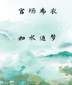 官场布衣