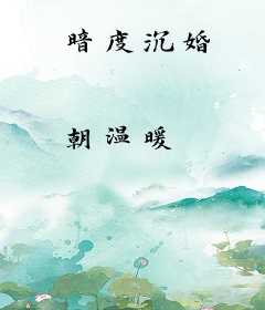 暗度沉婚