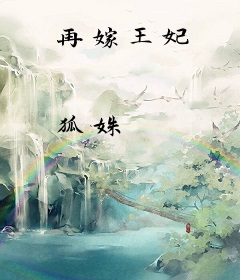 再嫁王妃