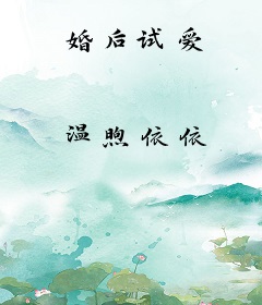 婚后试爱