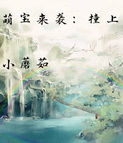 萌宝来袭:撞上极品王妃