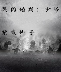 契约婚期：少爷别开灯