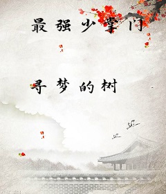 最强少掌门