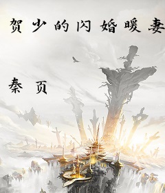贺少的闪婚暖妻
