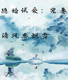 隐婚试爱：宠妻365式