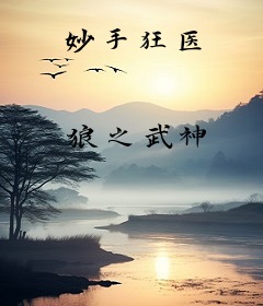 妙手狂医