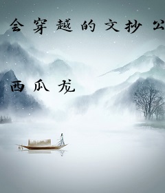 会穿越的文抄公
