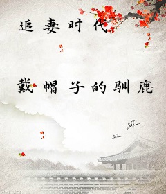 追妻时代