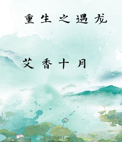 重生之遇龙