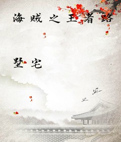 海贼之王者路
