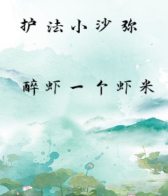 护法小沙弥