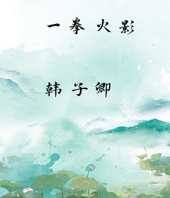 一拳火影