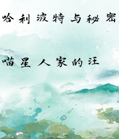 哈利波特与秘密宝藏
