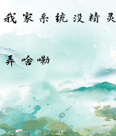 我家系统没精灵