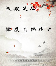 极限足坛