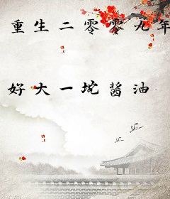 重生二零零九年