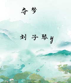 夺梦