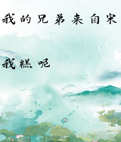 我的兄弟来自宋朝